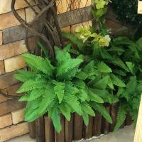 uploads/erp/collection/images/Home Garden/CongDing/XU0611635/img_b/XU0611635_img_b_2